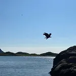 Harbour Haven *