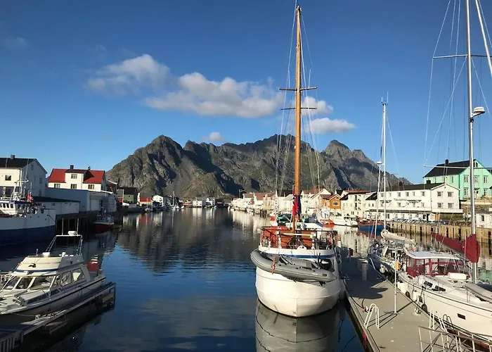 Harbour Haven