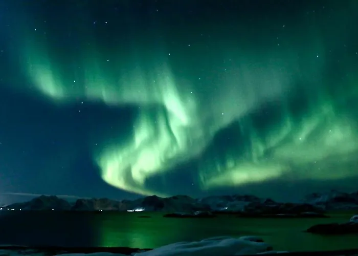 Harbour Haven Henningsvaer